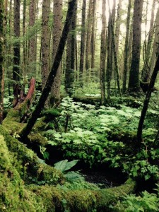 Juneau