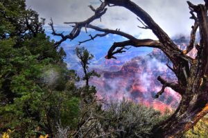 Grand Canyon NP