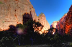 Zion NP