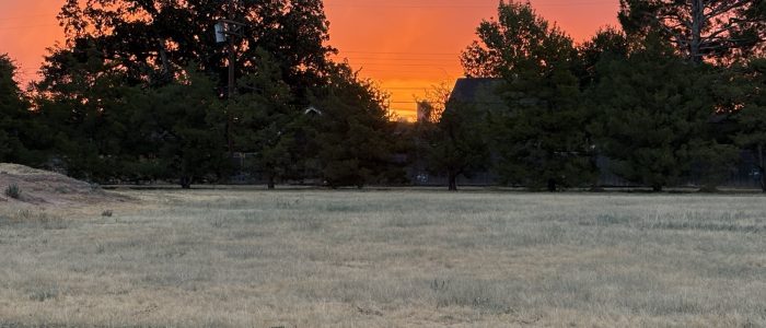 img_0257
